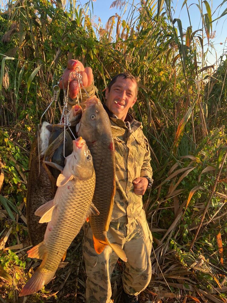 ���� 55158362 ������� �������, 39 ���, ���� ���������� � ������ ������