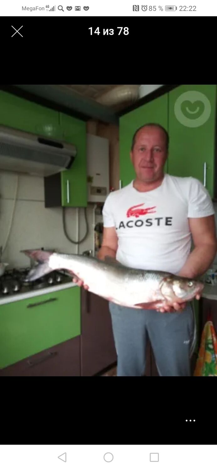 ���������� �������, ���� ������� ������, 49 ���, ������������ ��� ������, ����� � ���������