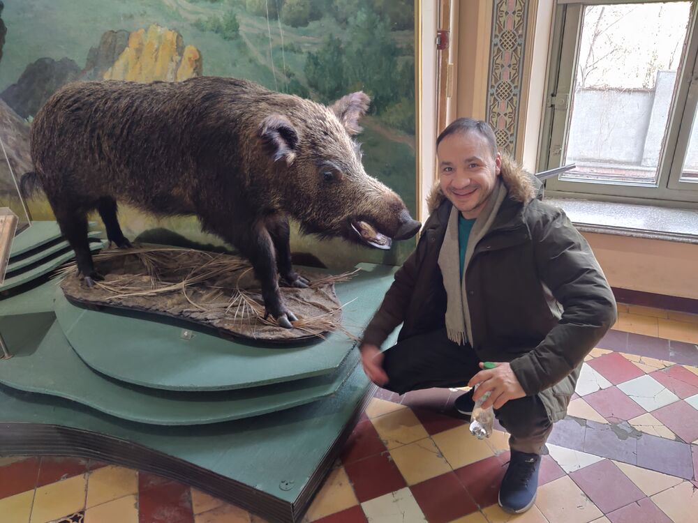 ���������� �������, ���� ������� �����, 41 ���, ������������ ��� ������, ����� � ���������