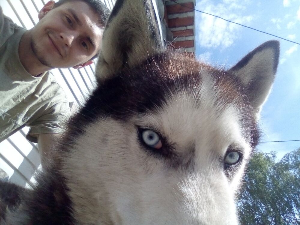 ���������� ���������, ���� ������� �������, 31 ���, ������������ ��� ������, ����� � ���������, c�������� ���������