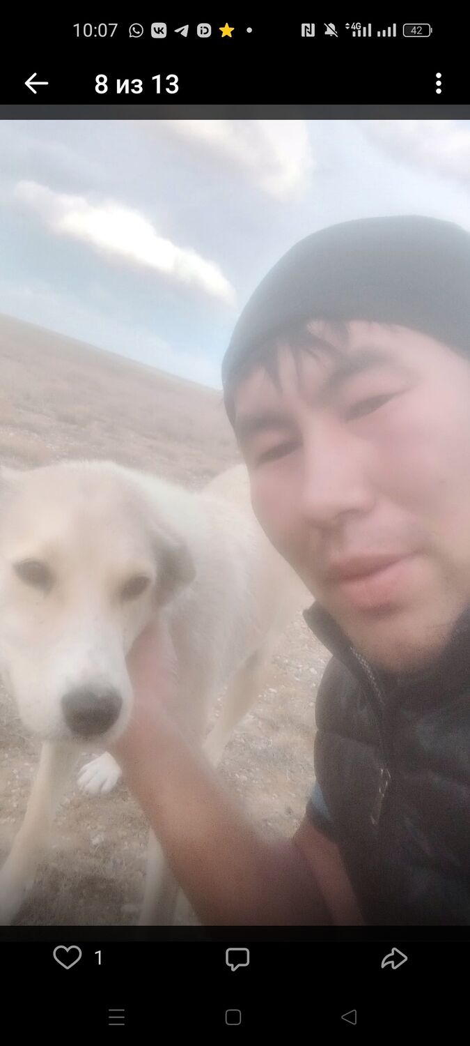 ���� 49652142 ������� �������, 40 ���, ���� ���������� � ����������