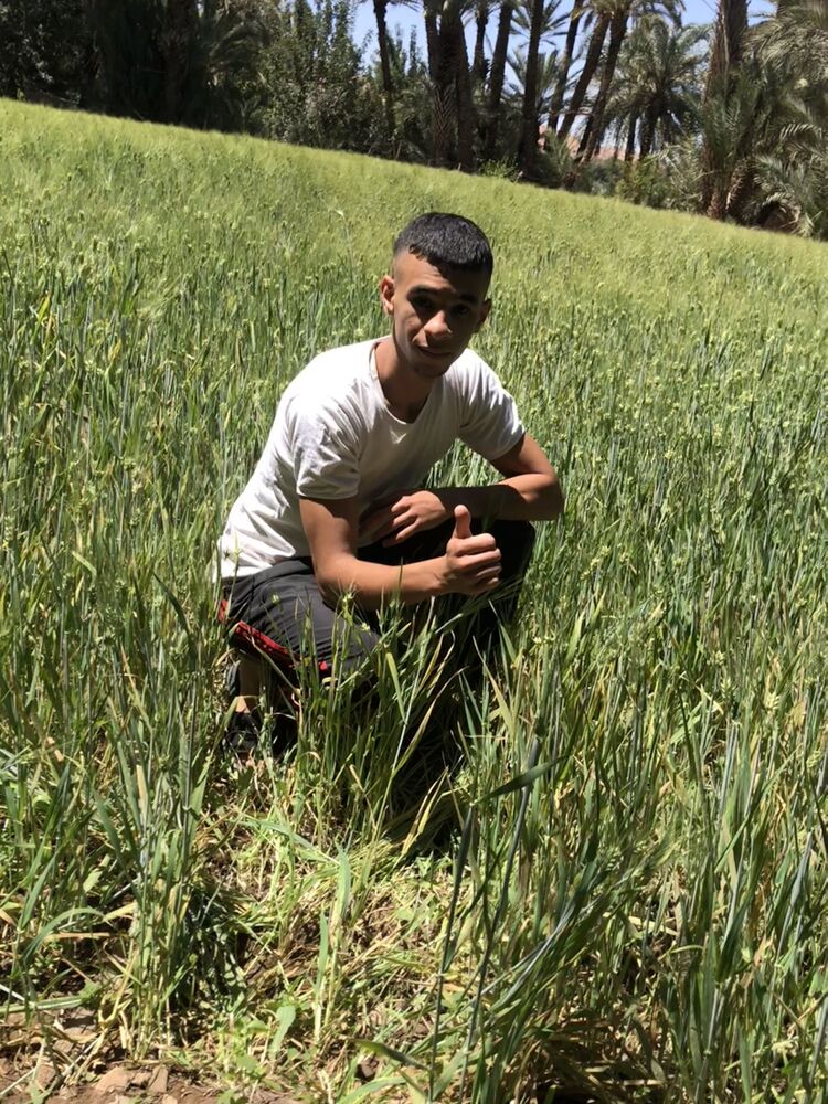 ���������� ������, ���� ����� Yassin, 19 ���, ������������ ��� ������, ����� � ���������