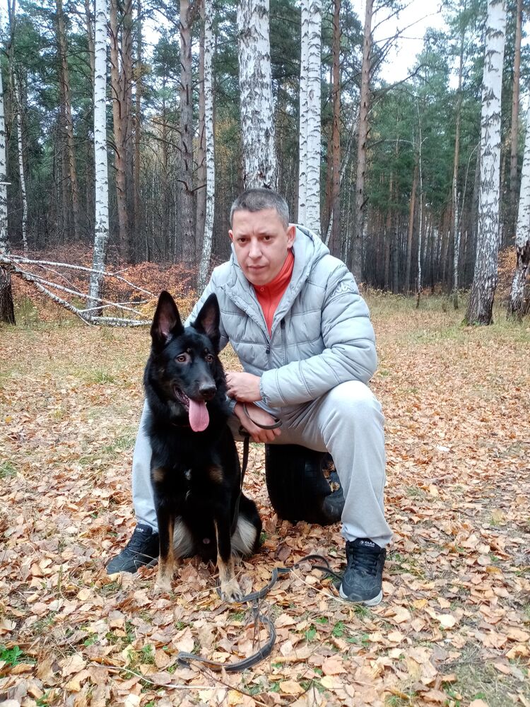 ���������� ������������, ���� ������� �����, 43 ����, ������������ ��� ������, ����� � ���������, c�������� ���������