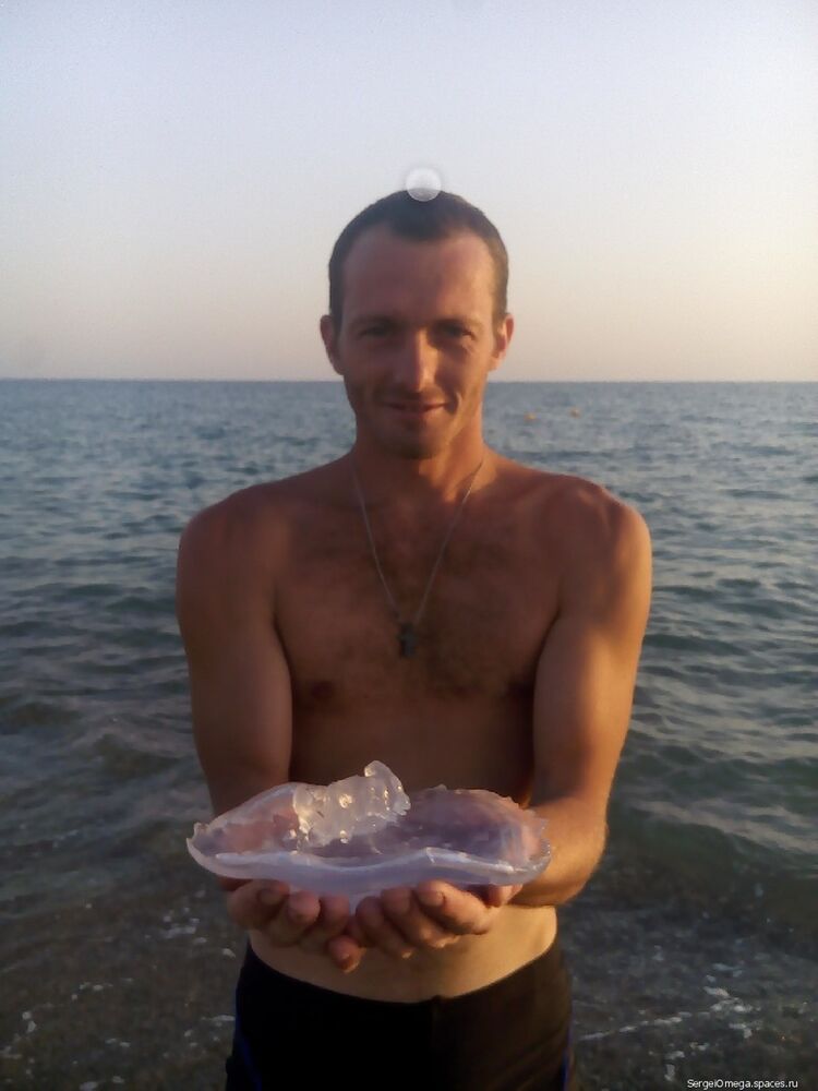 ���� 11331292 ������� ������, 37 ���, ���� ���������� � �������