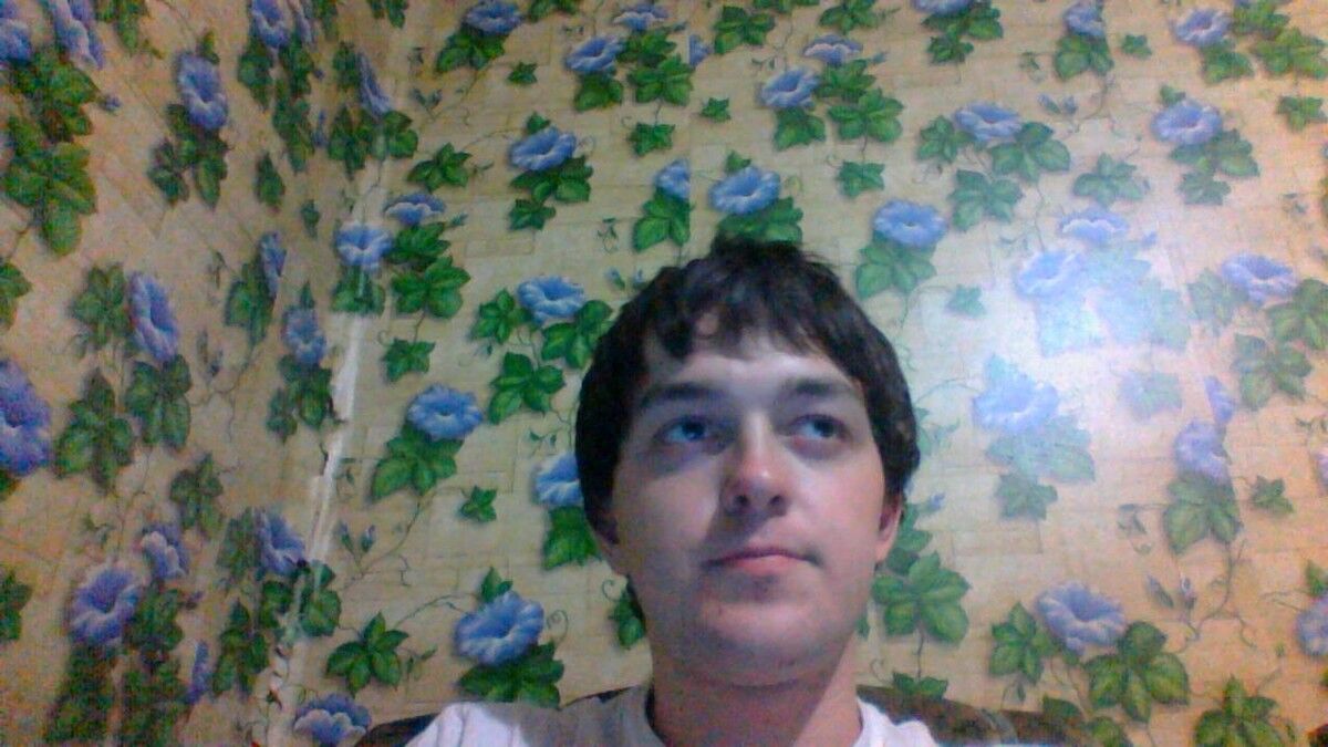  -,   , 29 ,  