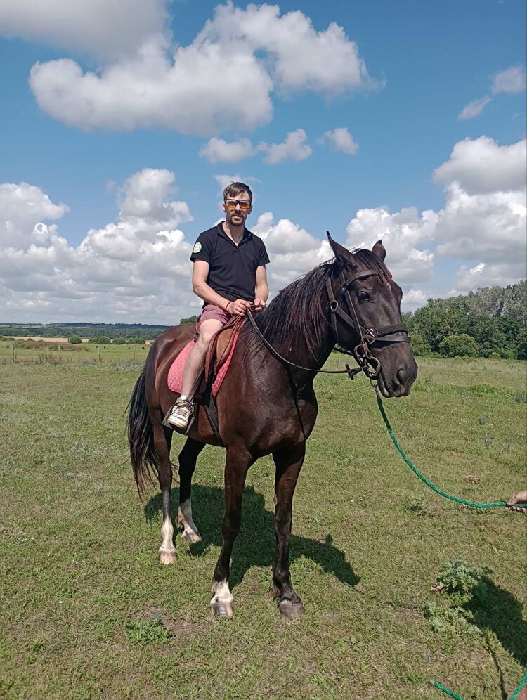  ,   , 36 ,     , c , 