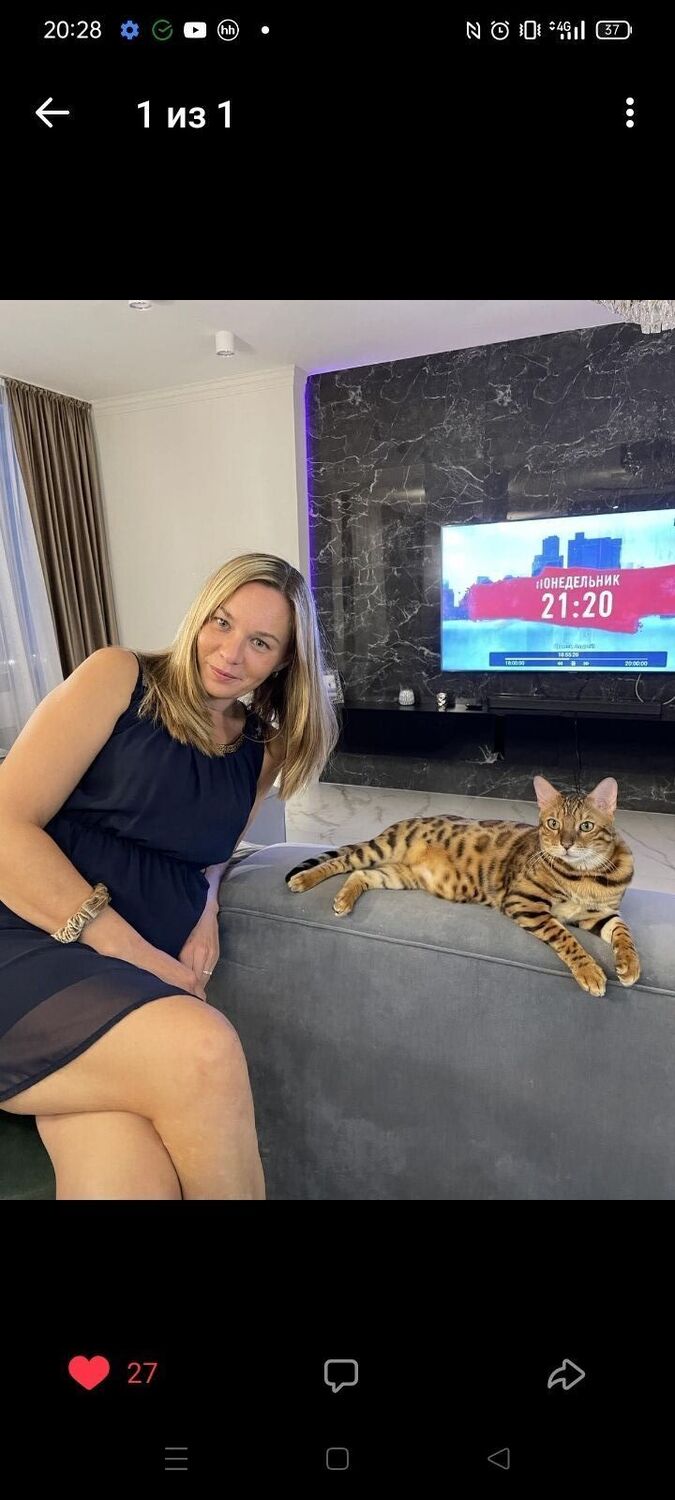 ���� 25944122 ������� ����, 42 ����, ���� ���������� � ������ ���������