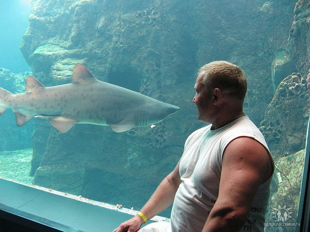 ���������� ������, ���� ������� Oleg, 61 ���, ������������ ��� ������, ����� � ���������, c�������� ���������