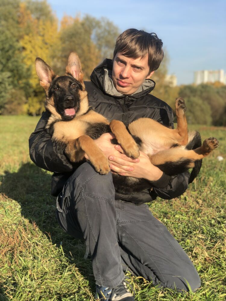 ���������� ������, ���� ������� ������, 36 ���, ������������ ��� ������, ����� � ���������, c�������� ���������, ���������