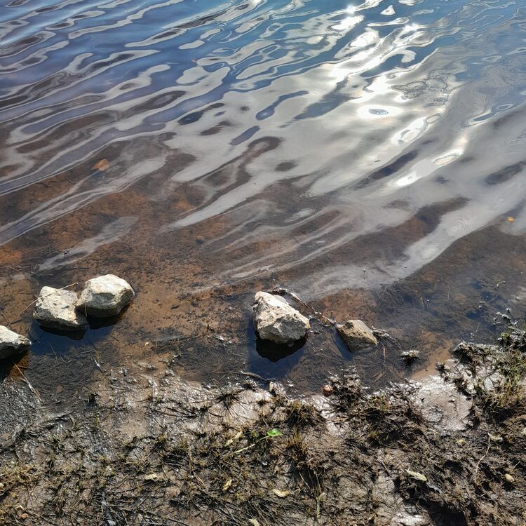  42088792  , 44 ,    