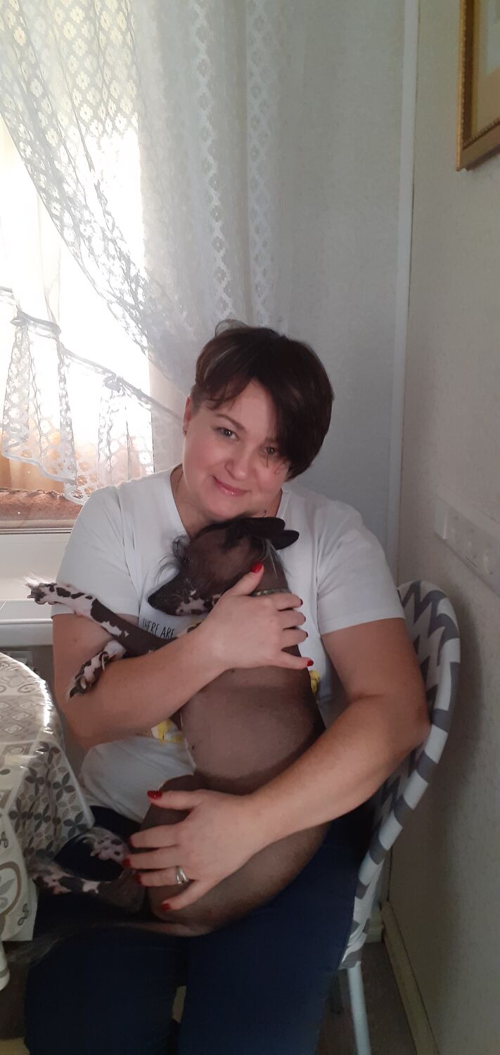 ���������� ������, ���� ������� �������, 53 ����, ������������ ��� ������, ����� � ���������, c�������� ���������