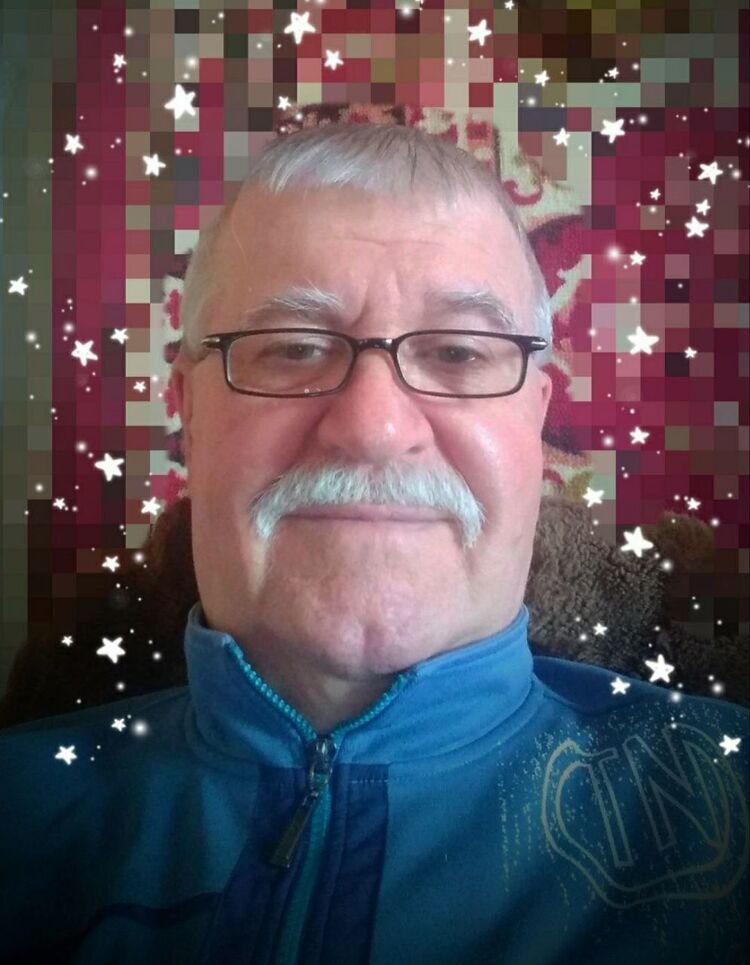 ���� 55421092 ������� Wovka, 70 ���, ���� ���������� � �������