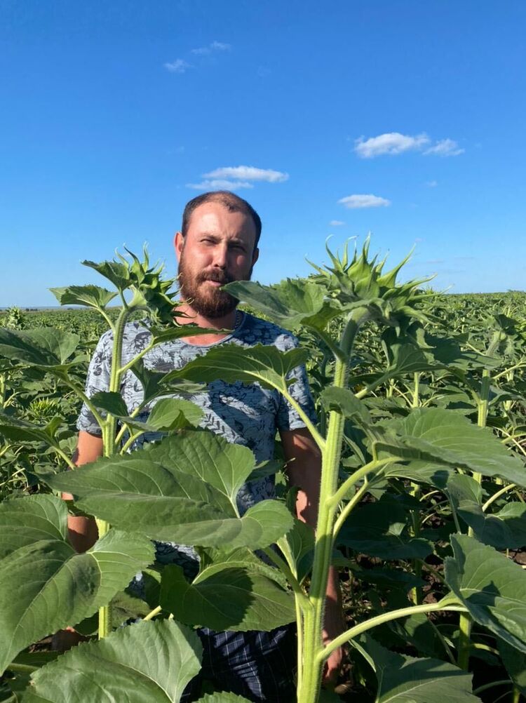 ���� 39585742 ������� ������, 37 ���, ���� ���������� � ���������