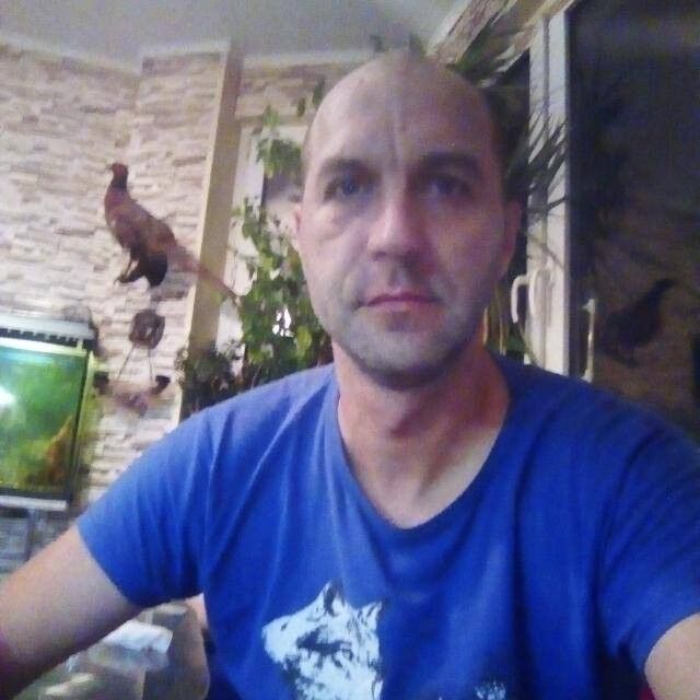  14078542  , 43 ,    