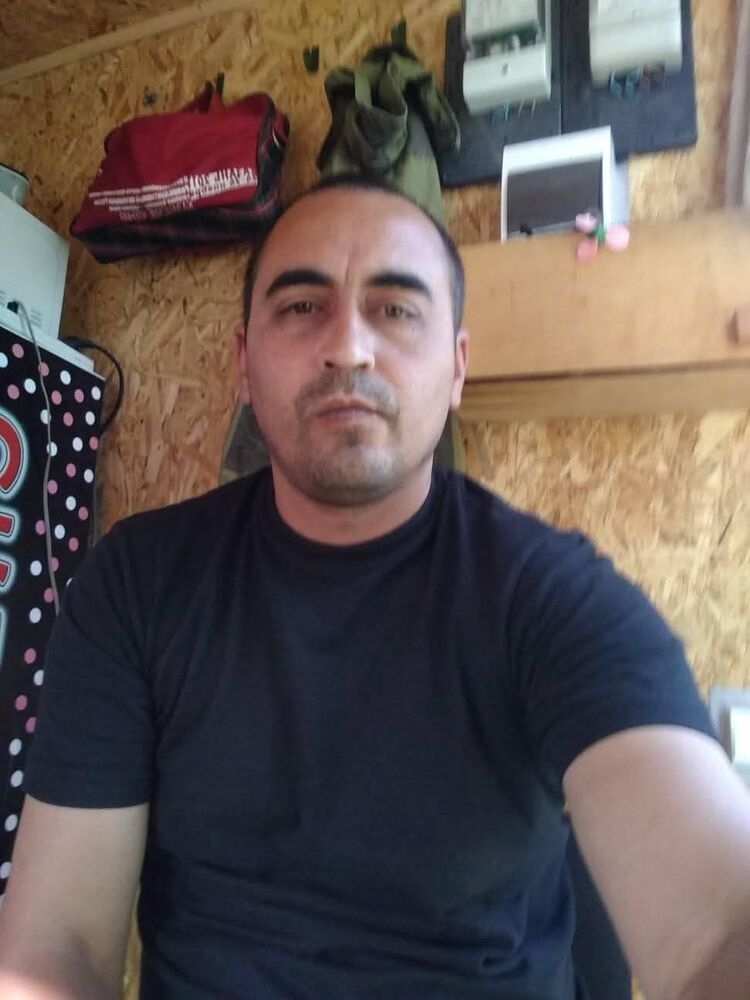 ���� 55319382 ������� ��������, 33 ����, ���� ���������� � ��������