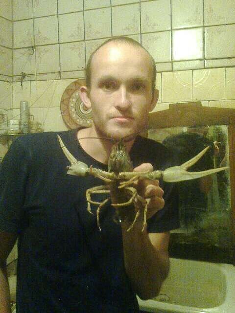 ���� 50746622 ������� �������, 36 ���, ���� ���������� � ������