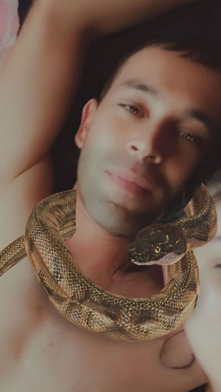 ���� 25472032 ������� ����, 33 ����, ���� ���������� � ����������