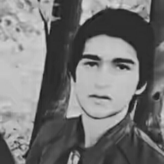 ���������� ������, ���� ������� Lee, 29 ���, ������������ ��� ������, ����� � ���������, c�������� ���������