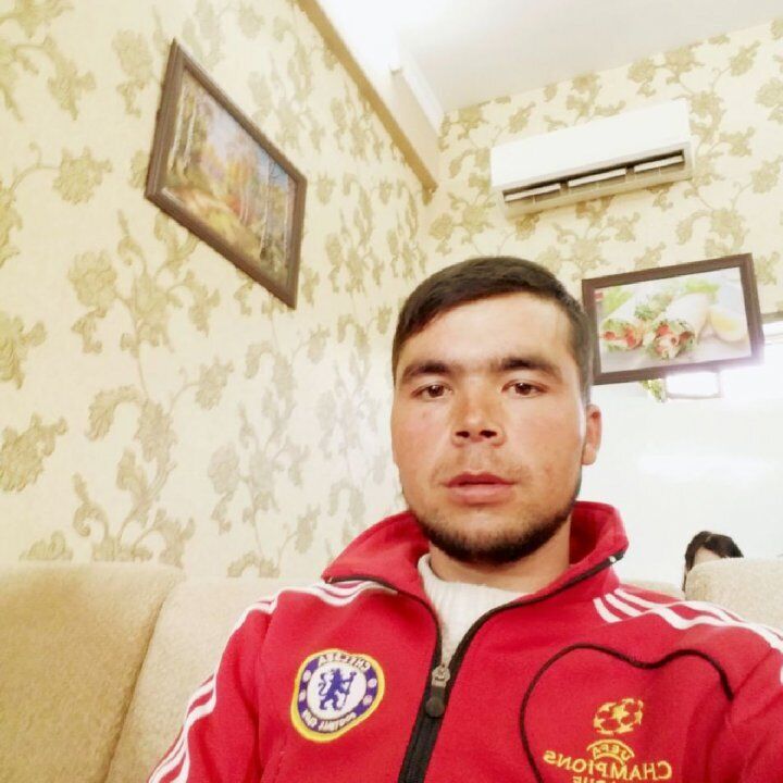  38285142  , 31 ,    