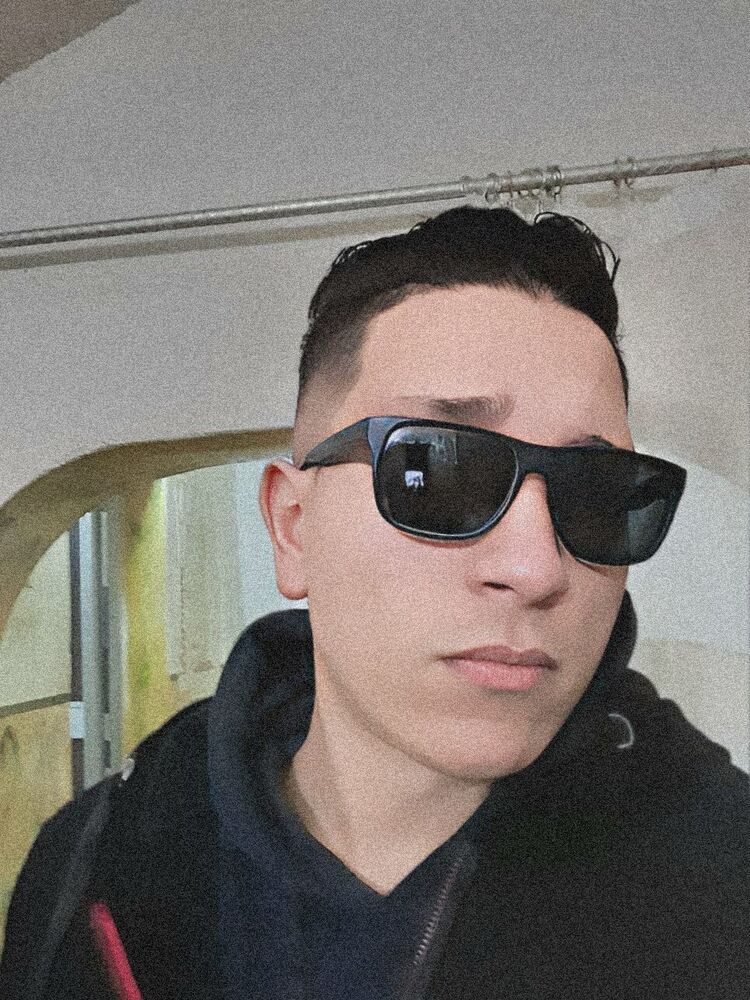 33373162  , 28 ,    