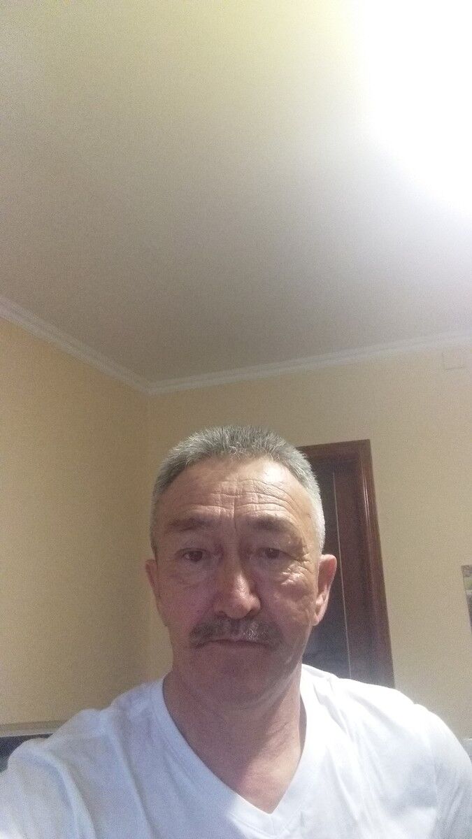  17954972  Saur, 63 ,    