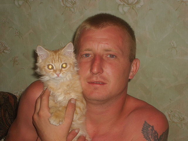 ���� 13213952 ������� ����, 43 ����, ���� ���������� � �������������