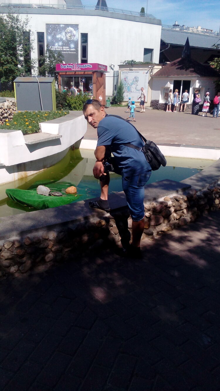 ���� 25050932 ������� ����, 50 ���, ���� ���������� � �������