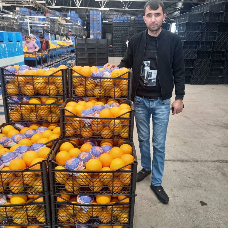 ���� 24659262 ������� Ruslan, 36 ���, ���� ���������� � �����