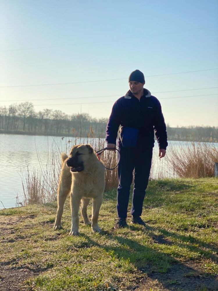 ���� 24533192 ������� �������, 43 ����, ���� ���������� � ������