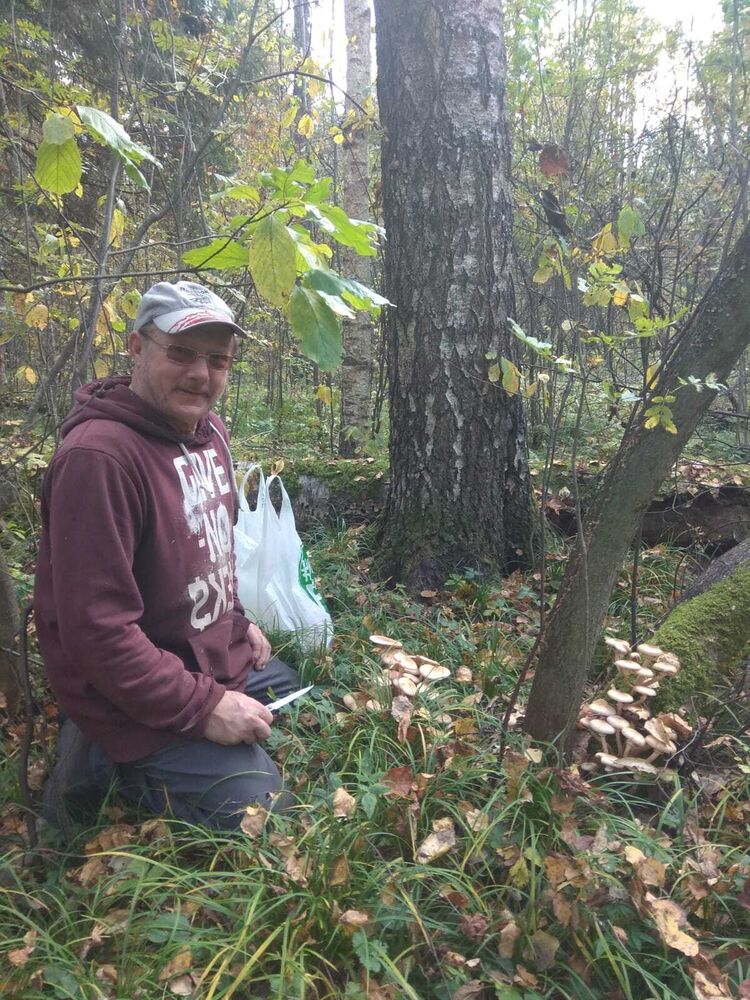 ���������� ������, ���� ������� ������, 60 ���, ������������ ��� ������, ����� � ���������, c�������� ���������