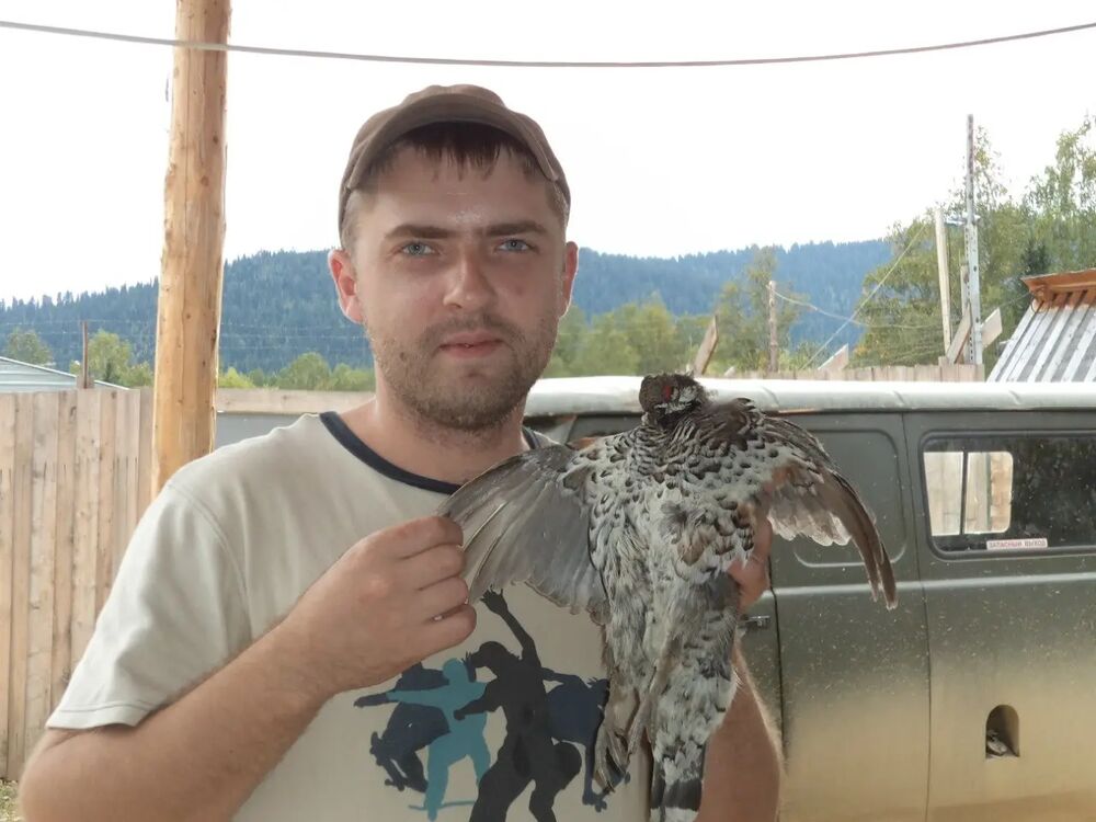 ���������� ���������, ���� ������� ������, 40 ���, ������������ ��� ������, ����� � ���������, c�������� ���������