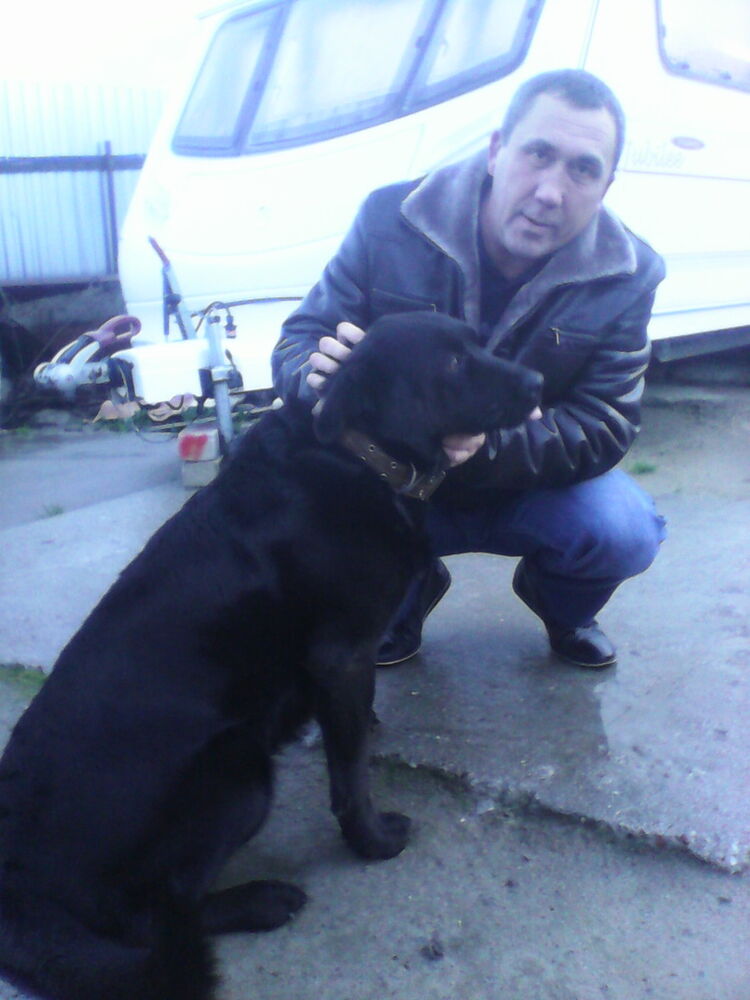 ���� 8315132 ������� �������, 54 ����, ���� ���������� � ������������