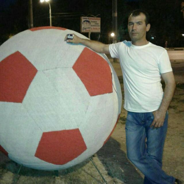  29479402  , 44 ,    