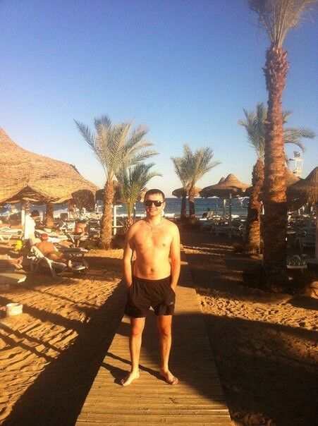 ���������� ����, ���� ������� Gogi, 40 ���, ������������ ��� ������, ���������