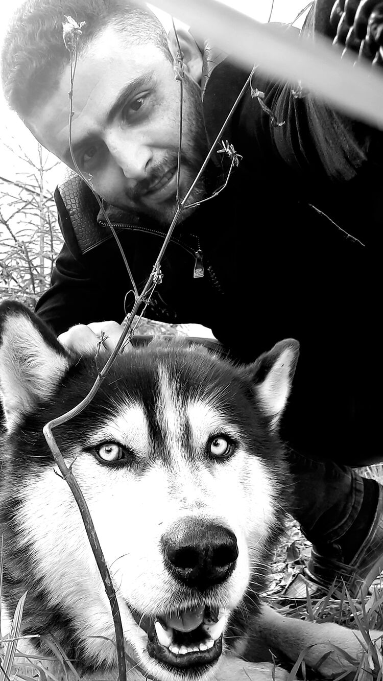 ���������� ������, ���� ������� ����, 37 ���, ������������ ��� ������, ����� � ���������