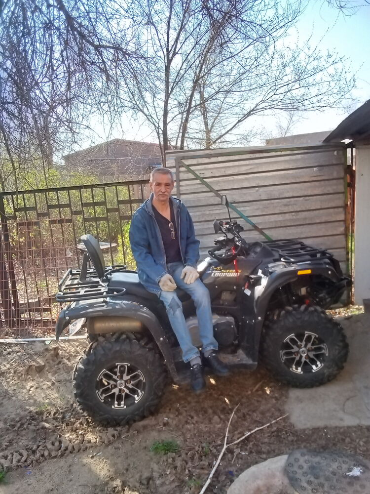  33619082  , 58 ,    