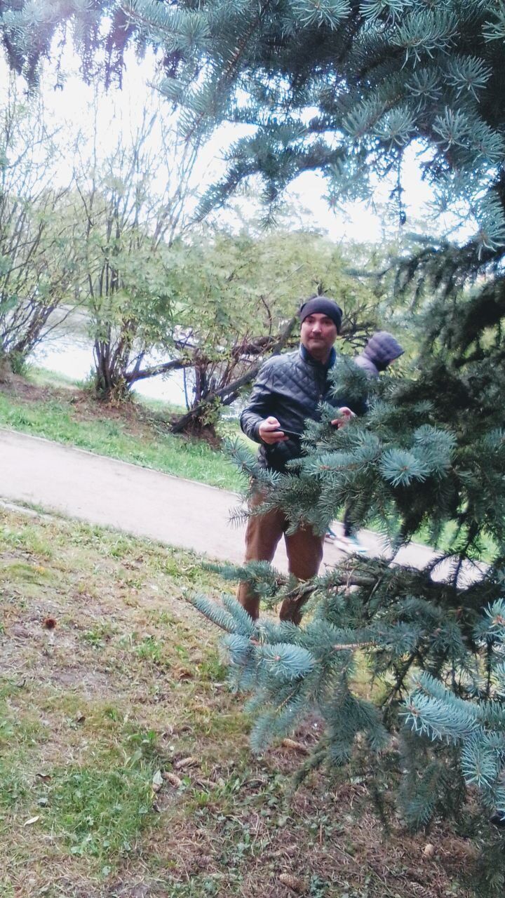 ���������� ������, ���� ������� ����, 41 ���, ������������ ��� ������, ����� � ���������