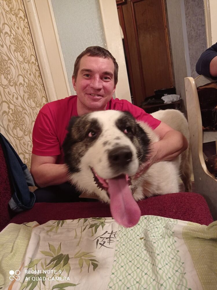 ���������� ������, ���� ������� ���������, 41 ���, ������������ ��� ������, ����� � ���������, c�������� ���������, ���������