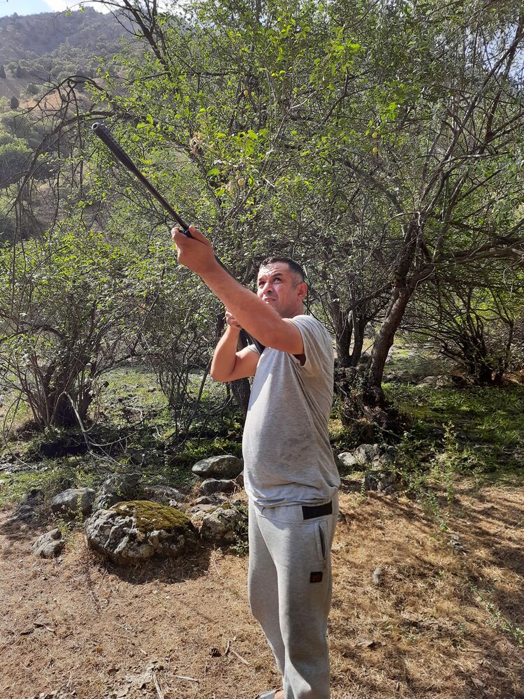 ���������� ������, ���� ������� Timon, 44 ����, ������������ ��� ������, ����� � ���������, c�������� ���������, ���������