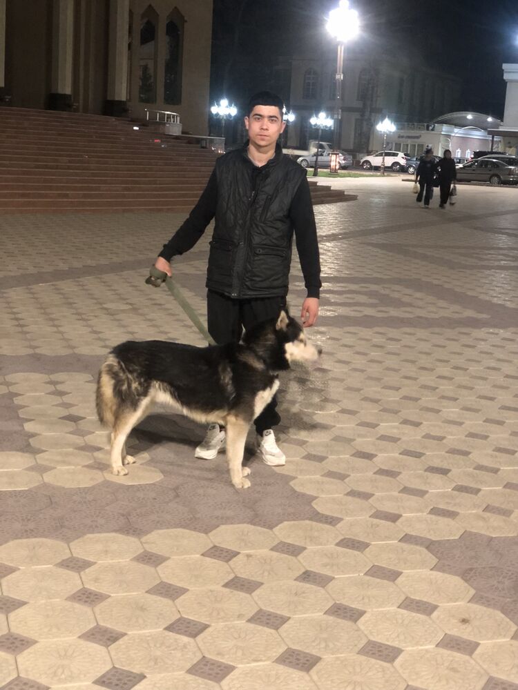 ���������� �������, ���� ����� �����, 21 ���, ������������ ��� ������, ����� � ���������