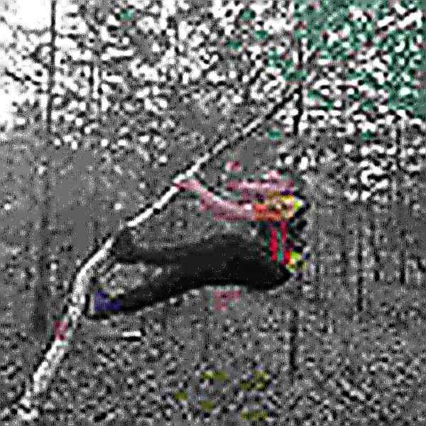  22950092  DanyaDeli, 22 ,    