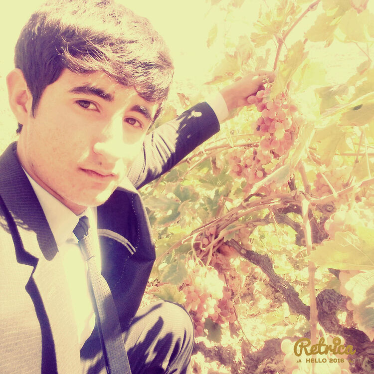 ���� 24869782 ������� �����, 27 ���, ���� ���������� � ������