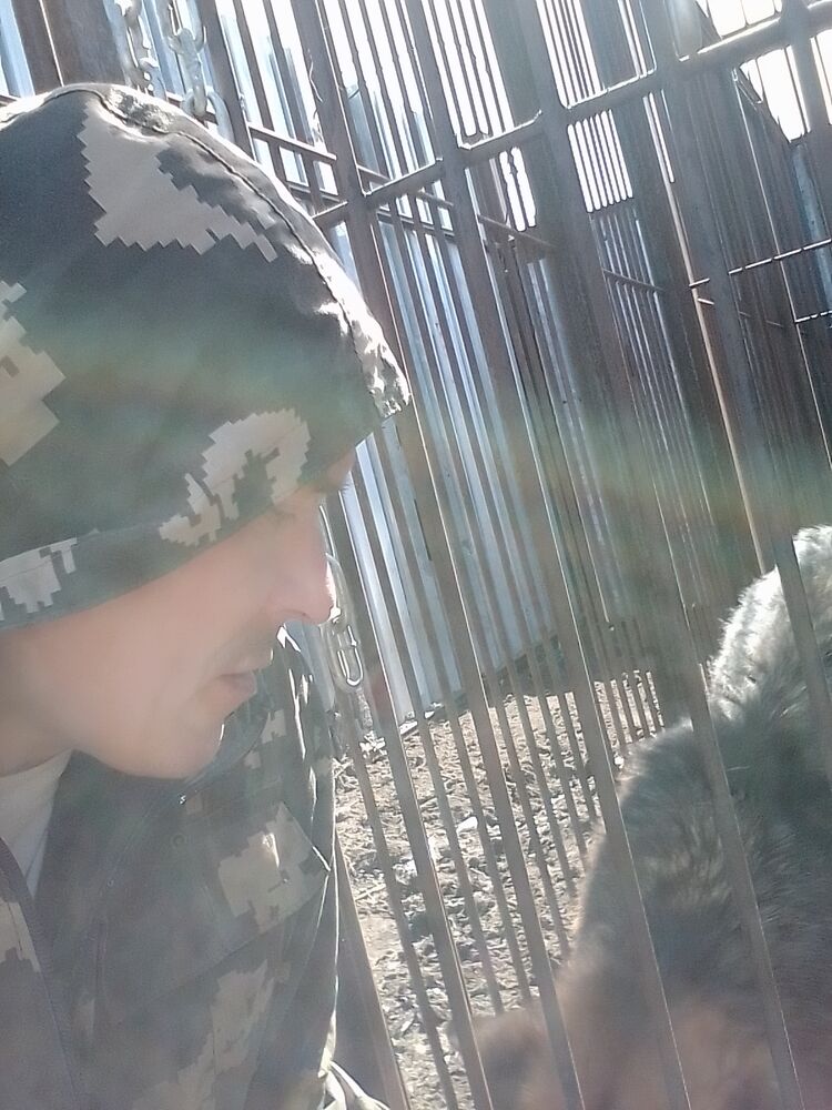 ���������� �����-���������, ���� ������� ���, 40 ���, ������������ ��� ������, ����� � ���������, c�������� ���������, ���������