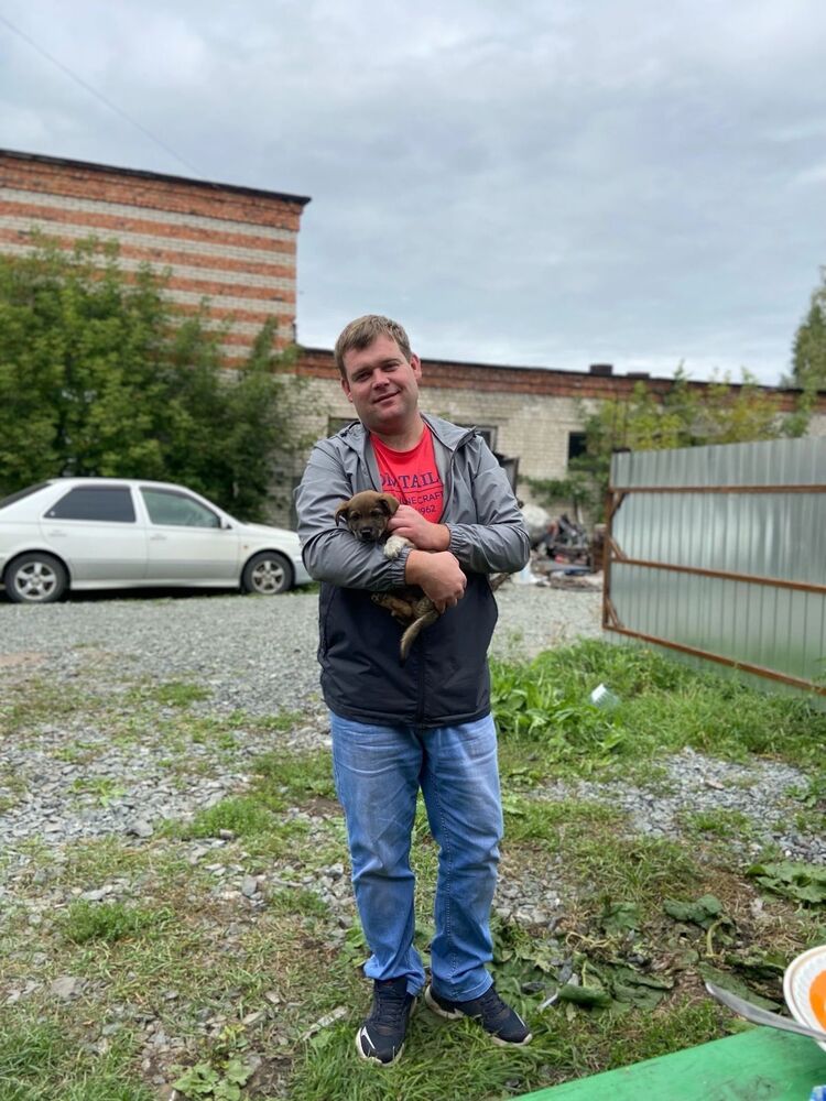 ���� 37496622 ������� ������, 37 ���, ���� ���������� � ������������