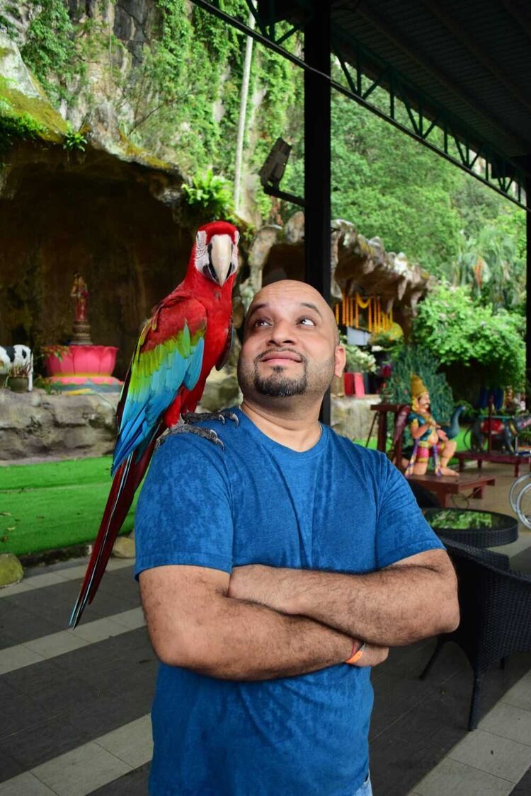 ���� 56217072 ������� Robin, 26 ���, ���� ���������� � ������