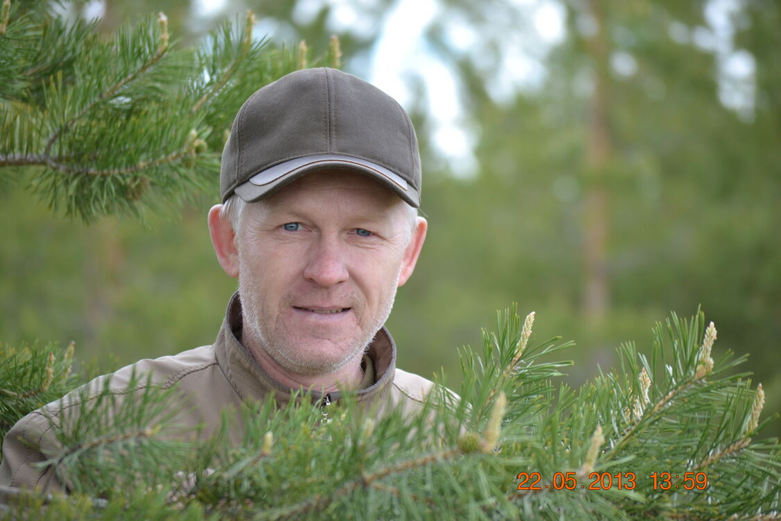 ���� 54987002 ������� ������, 58 ���, ���� ���������� � ������