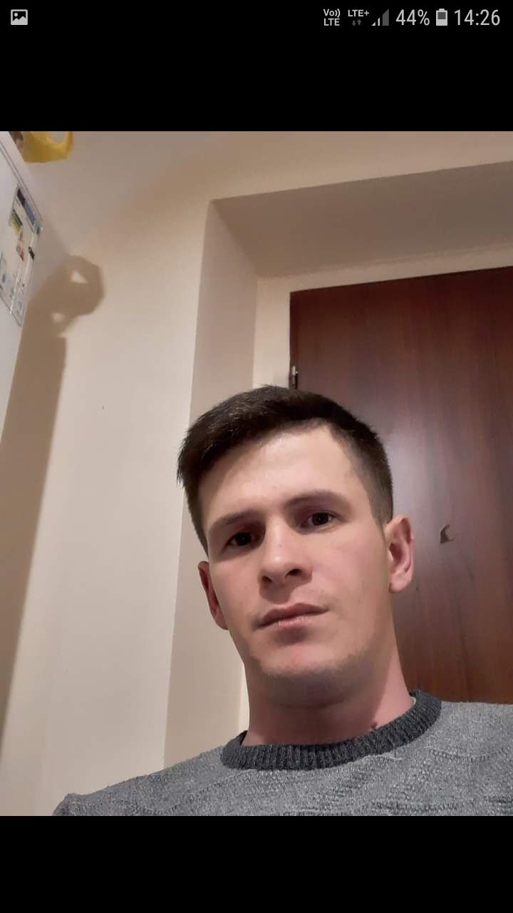 43680182  , 31 ,    