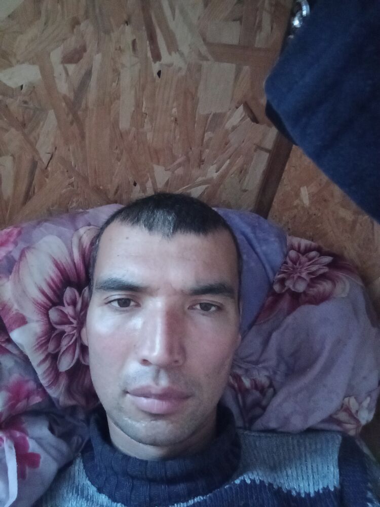 ���� 24788852 ������� ���������, 35 ���, ���� ���������� � �������������