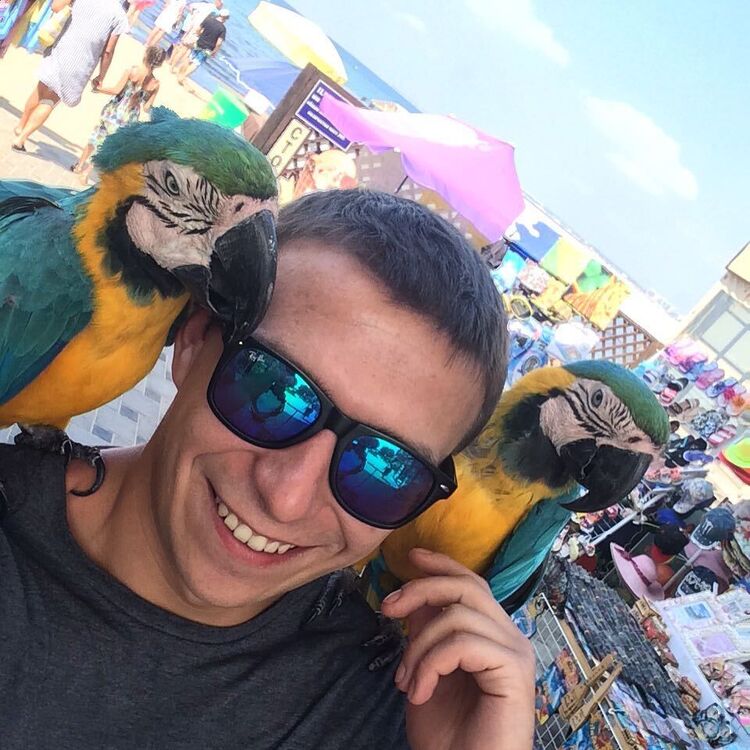  ,   , 33 ,   ,   , 