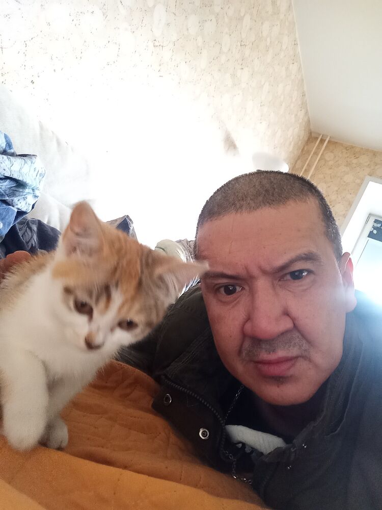 ���� 46489972 ������� �������, 44 ����, ���� ���������� � �����������